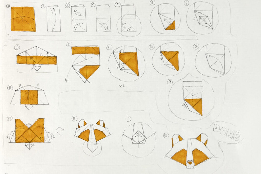 racoon_dog_diagram