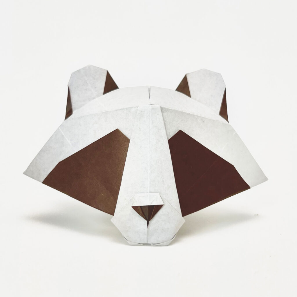image of racoon dog ver 1.5 (square)