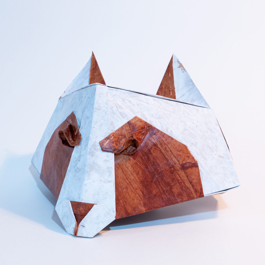 image of racoon dog ver 1.0 (square)
