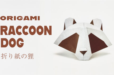 racoon_dog_web_wide